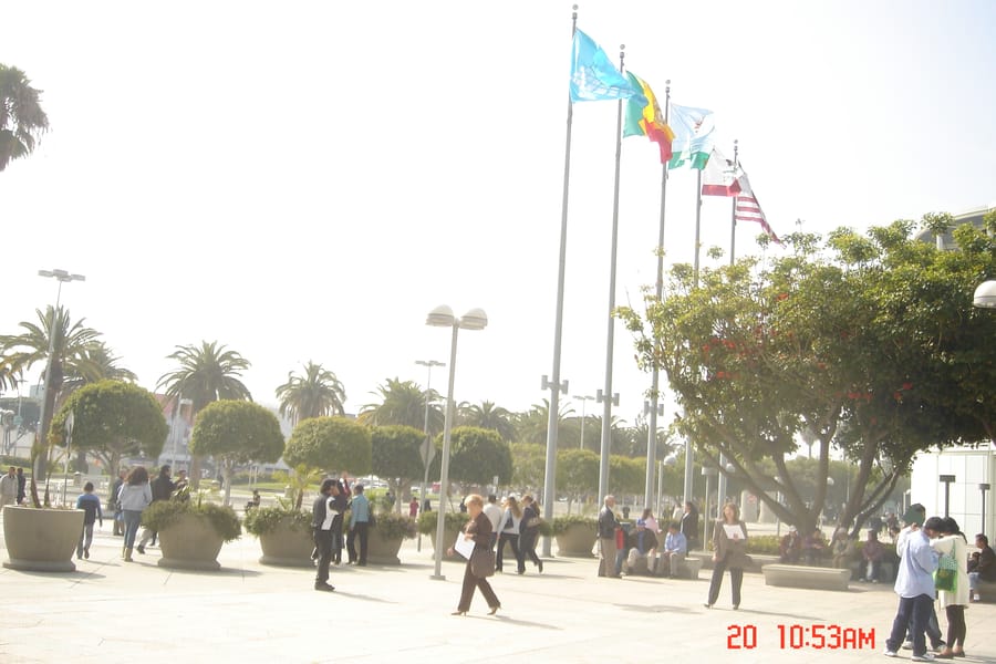 Tags: undefined
