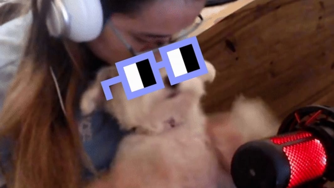 Tags: nouns,asheszu,natalie,dog,puppy
