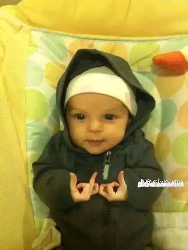 Tags: -
