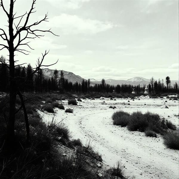 Tags: -
