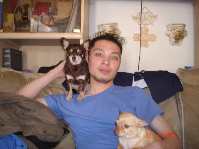 Tags: undefined
