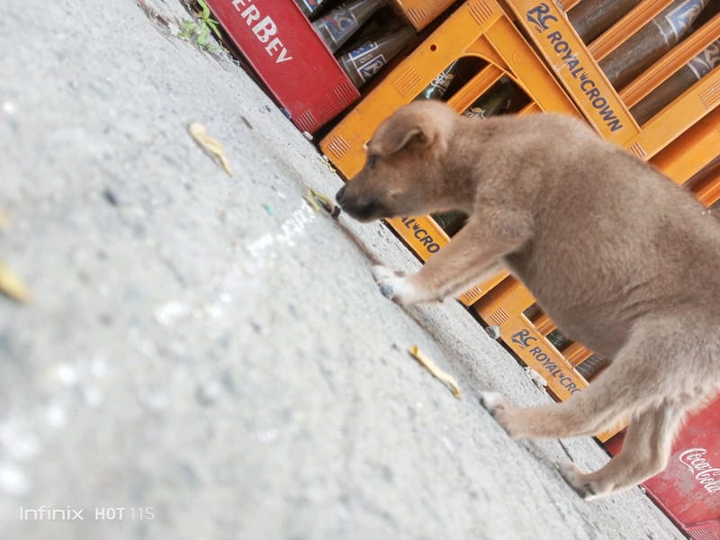 Tags: -
