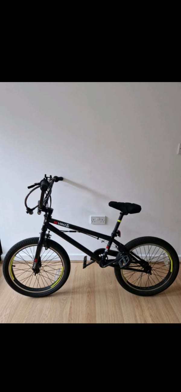 Tags: Bmx1
