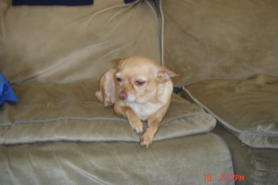 Tags: undefined
