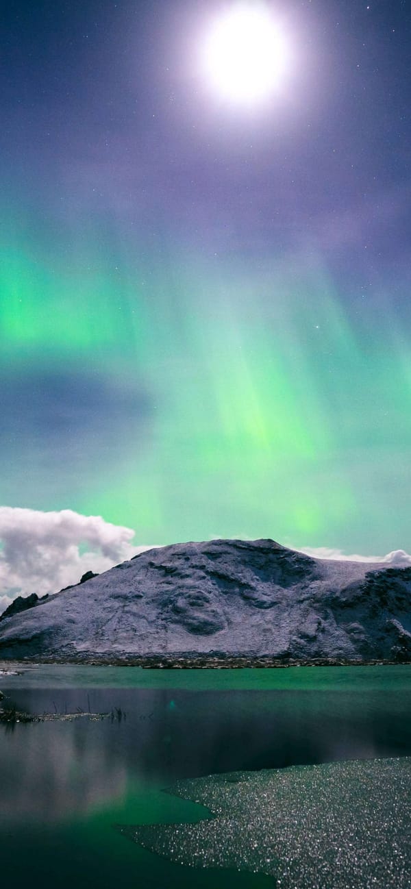 Tags: -
