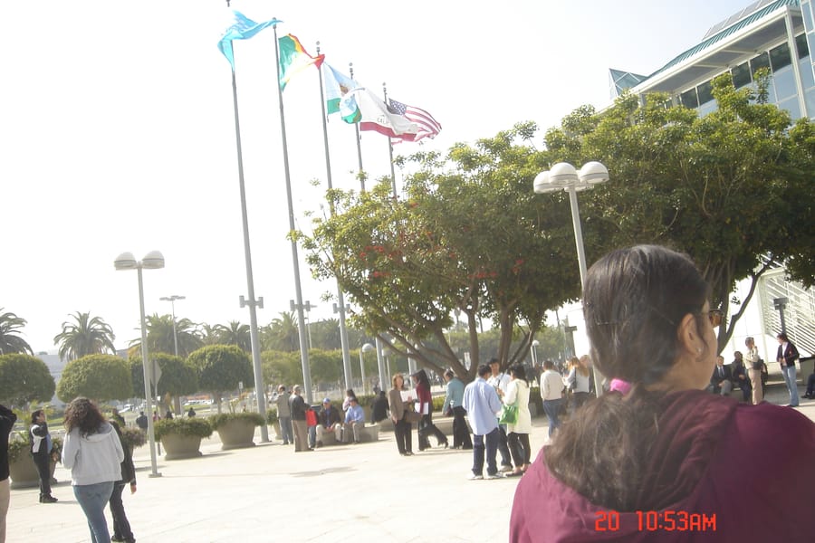 Tags: undefined
