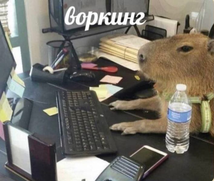 Tags: undefined

