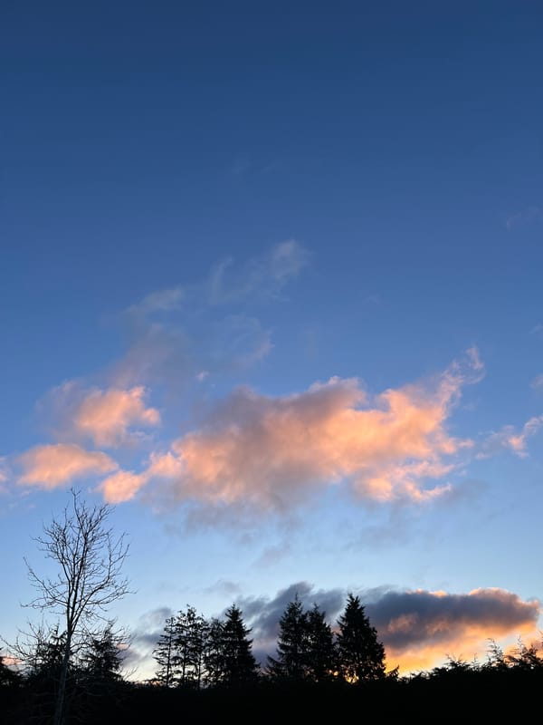 Tags: -
