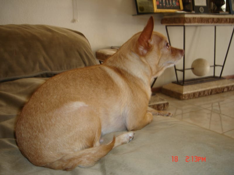 Tags: undefined

