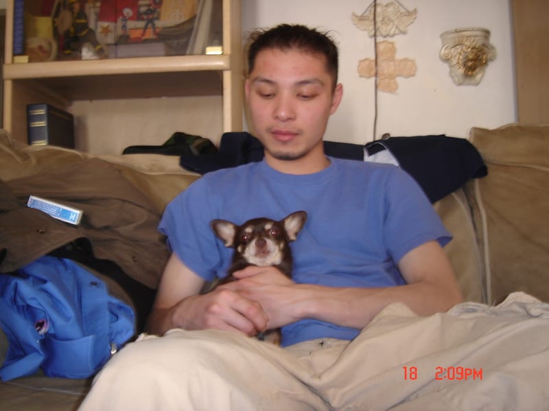 Tags: undefined
