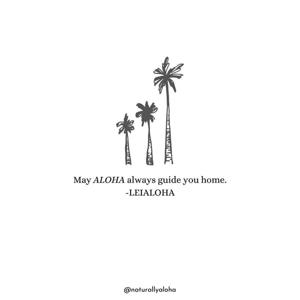 Tags: -
