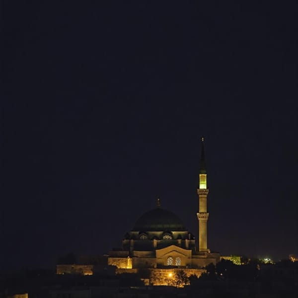 Tags: -
