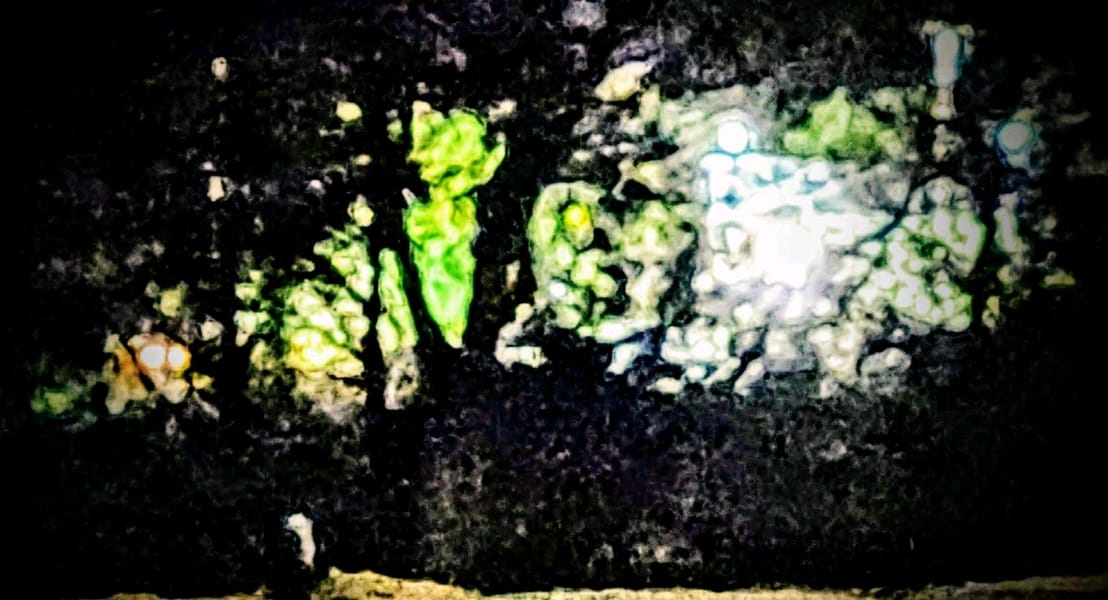 Tags: -
