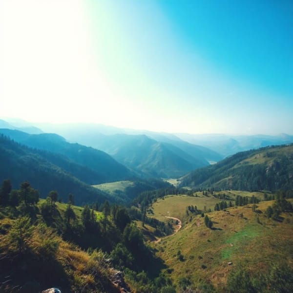 Tags: -
