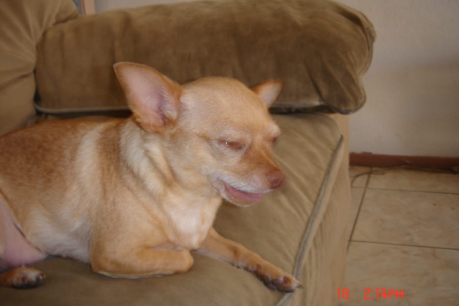 Tags: undefined
