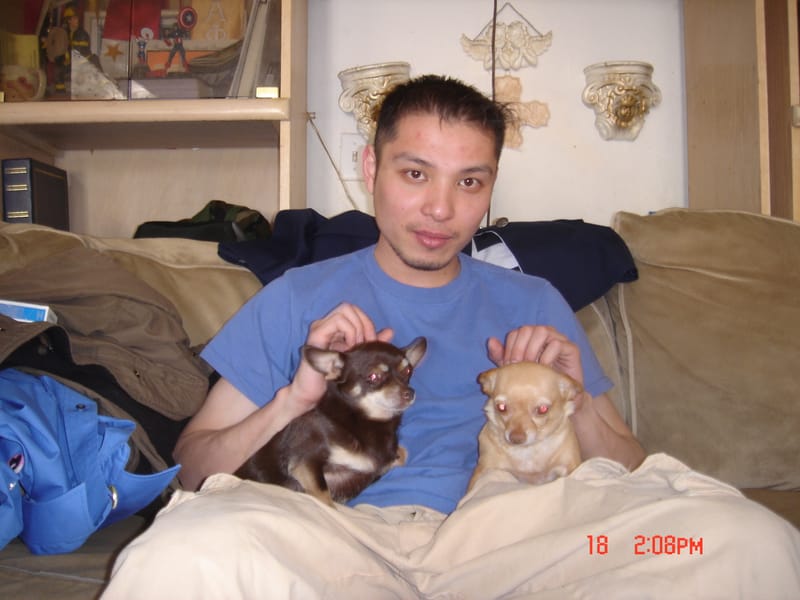 Tags: undefined
