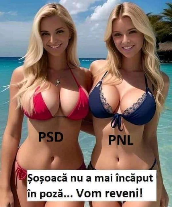 Tags: -
