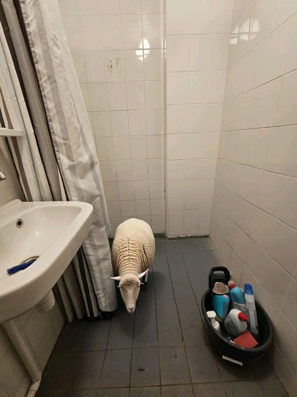 Tags: -
