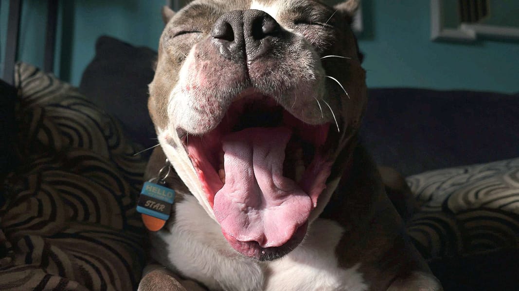 Tags: -
