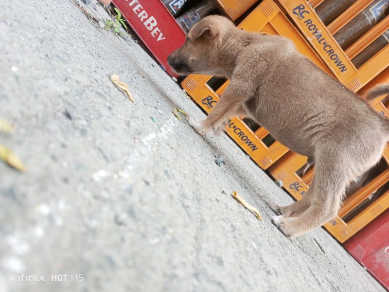 Tags: -
