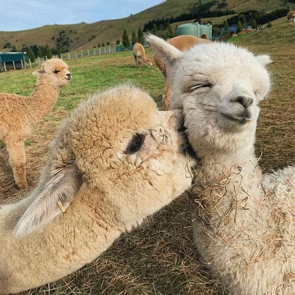 Tags: undefined
