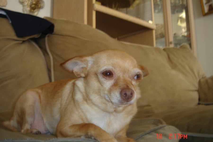 Tags: undefined

