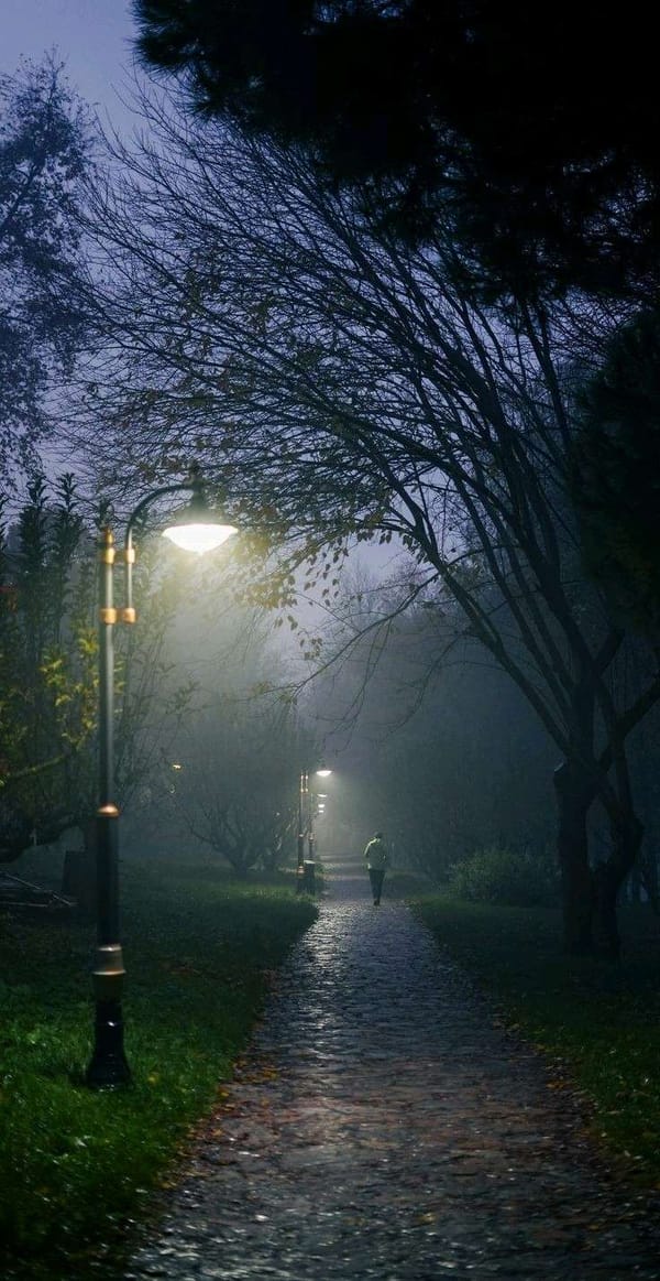 Tags: -

