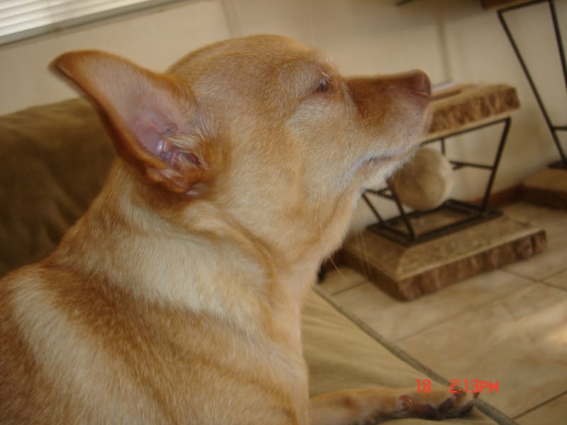 Tags: undefined
