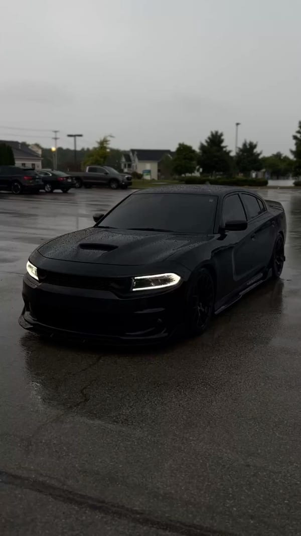 Tags: -
