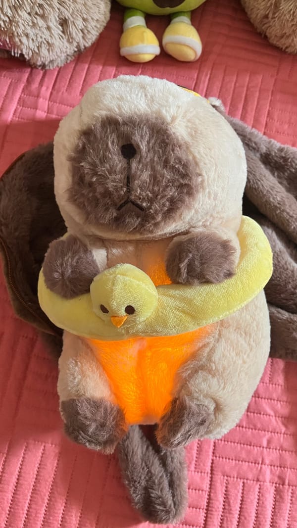 Tags: -
