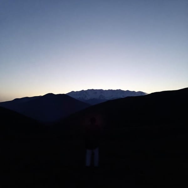 Tags: -
