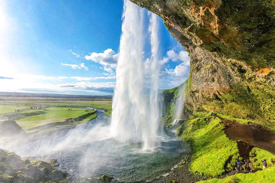 Tags: -
